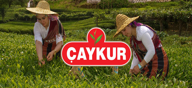ÇAYKUR, Mayıs Ayı Çay Bedellerini Üreticilere Ödüyor