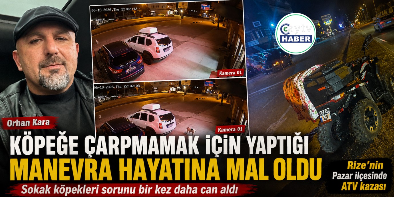 Rize'de Kazada Köpeğe Çarpmamak İçin Manevra Yaptı, Hayatını Kaybetti