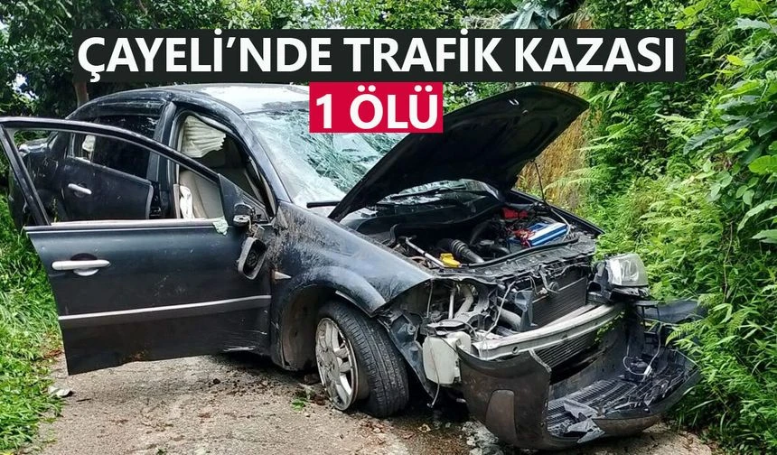 Çayeli’nde feci kaza: 1 kişi hayatını kaybetti, 2 yaralı