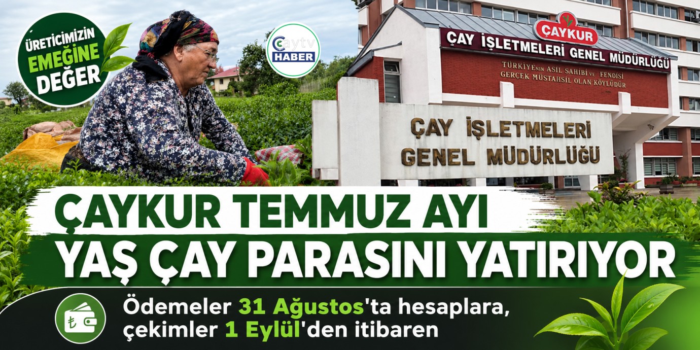ÇAYKUR’dan üreticiye ödeme: Temmuz ayı yaş çay bedelleri hesaplara geçiyor